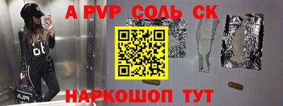 крисы Камышлов