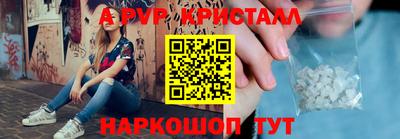 крисы Камышлов
