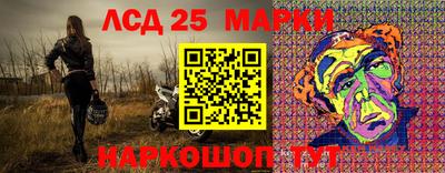 крисы Камышлов