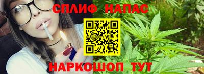 крисы Камышлов