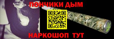 крисы Камышлов