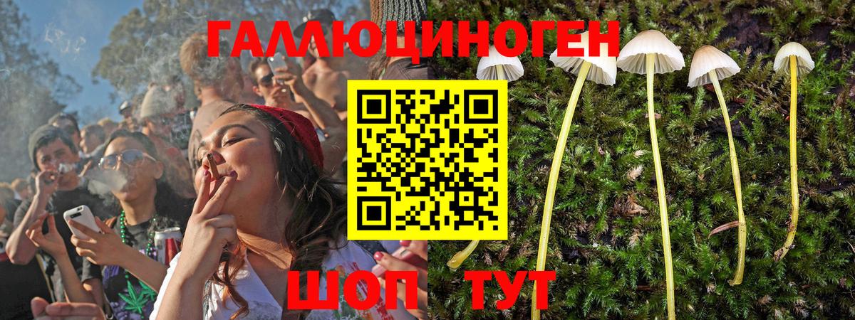 Клин  Галлюциногенные грибы Magic Shrooms  Вход с VPN  Галлюциногенные грибы Cubensis 